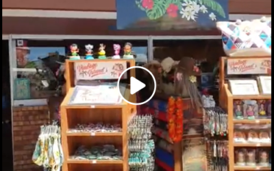 Ouverture de la boutique « Esprit des îles » à seignosse le penon