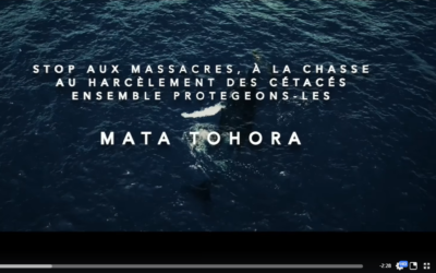 Un haka pour sauver les cétacés