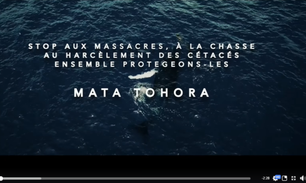 Un haka pour sauver les cétacés