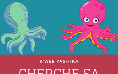R&rsquo;web pasifika recherche sa mascotte Raïta