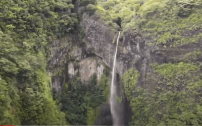 Randonnée dans la vallée de la Fautaua !