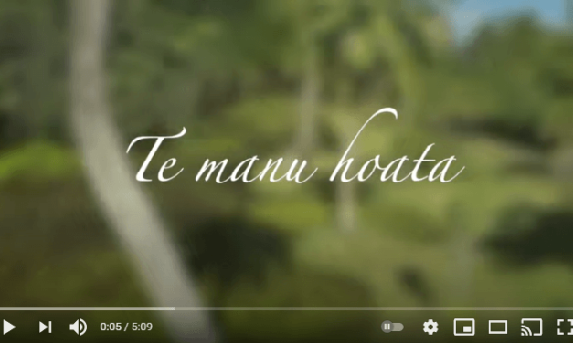 CLIP Te manu hoata (Gabilou & Tiheni)