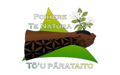 Lle Mont Mouaputa par TO&rsquo;U PARATAITO POIHERETE NATURA