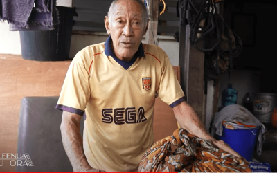 La medecine traditionnelle tahitienne ou raau Tahiti avec Octave Barbos￼