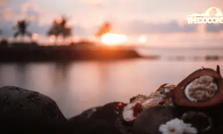 Recette du Taufolo dessert traditionnel de l&rsquo;île de Samoa