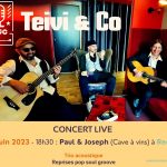 Concert Teivi & co - ambiance Pop Saoul Groove