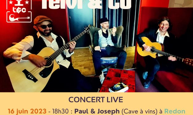 Concert Teivi & co – ambiance Pop Saoul Groove