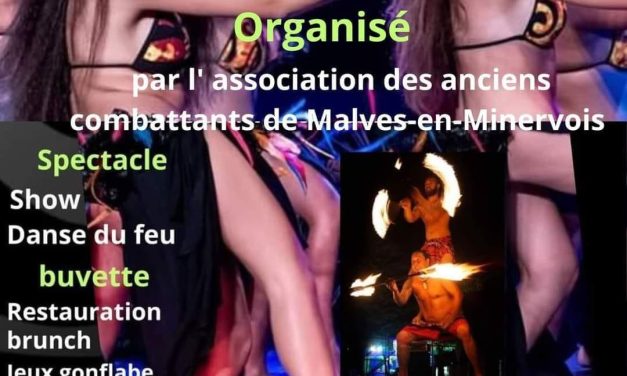 Fêtes Polynésiennes 11600