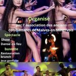 Fête Polynésienne 11600