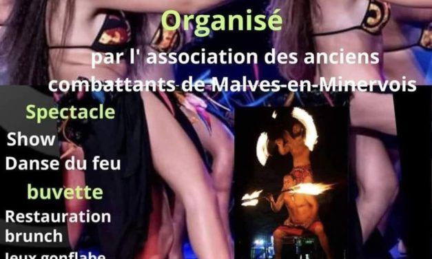 Fête Polynésienne 11600