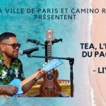 Concert TEA live Berges de Seine Pont de Sully Paris