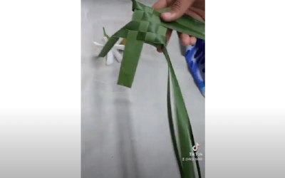 Confection d’un oiseau en Niau