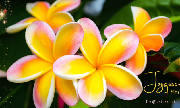 Etenati vous souhaite le meilleur pour 2024