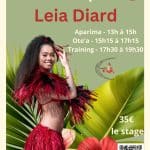 Workshop avec Leia Diard sur Nilvange (Moselle) 57240