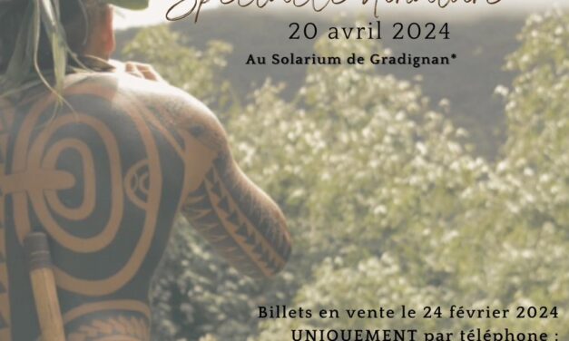 Spectacle dinatoire