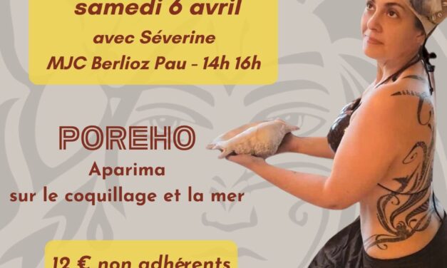 Stage de danse tahitienne